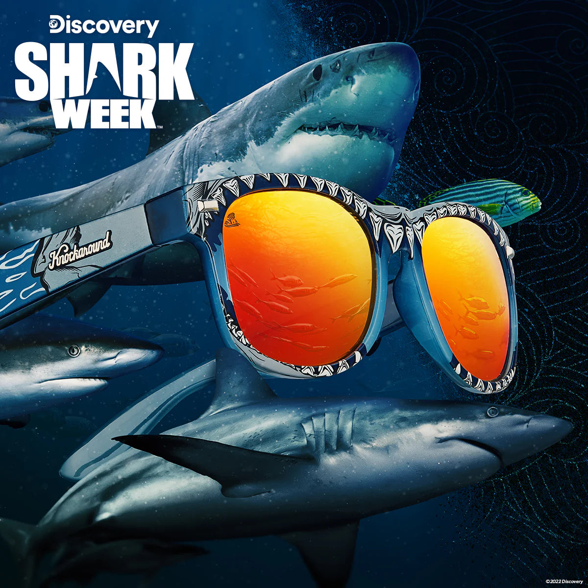 Shark Week Fort Knocks 2022